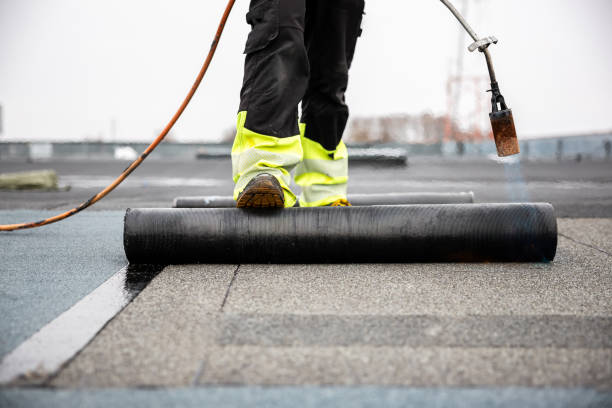 Best Asphalt Shingle Roofing  in Paramount, CA