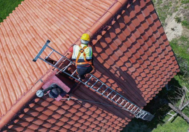 Best Roof Maintenance and Cleaning  in Paramount, CA