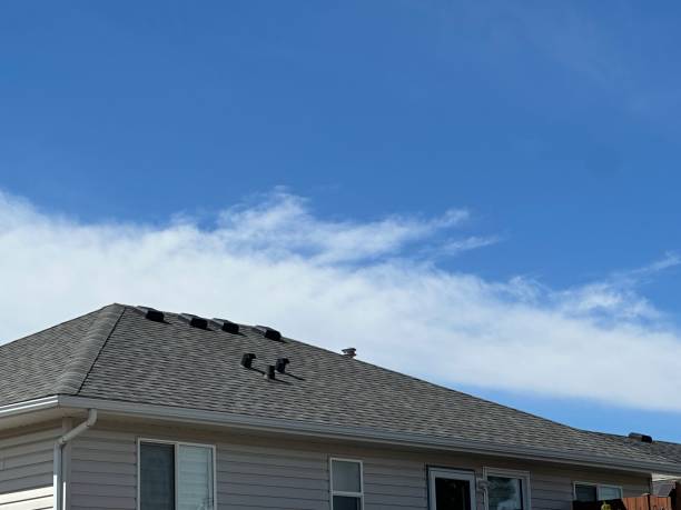Best Wood Shake Roofing  in Paramount, CA